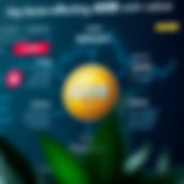 Key Factors Affecting ARB Coin Value Diagram showing key factors influencing ARB coin value including market trends and investor sentiment